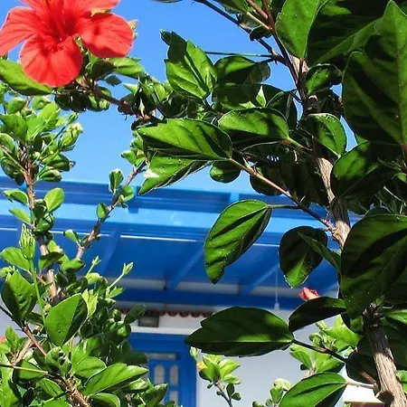 Tasia Lejlighedshotel Agios Prokopios (Naxos)