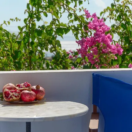 Tasia Aparthotel Agios Prokopios (Naxos)