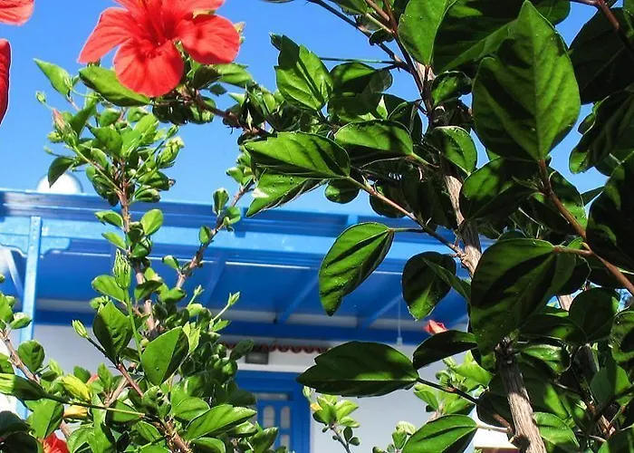 Tasia Aparthotel Agios Prokopios (Naxos)