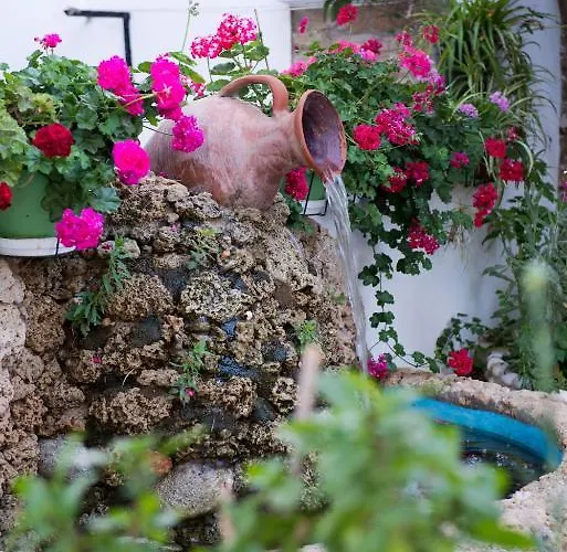 Tasia Agios Prokopios (Naxos)